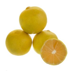 لیمو شیرین ارگانیک