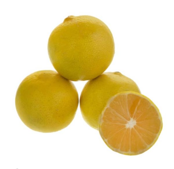 لیمو شیرین ارگانیک